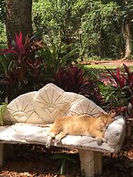 Sweetwater Branch Inn