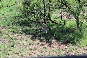 Tshukudu Bush Lodge