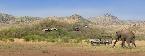 Tshukudu Bush Lodge