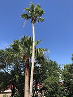 Avenue O Bed & Breakfast