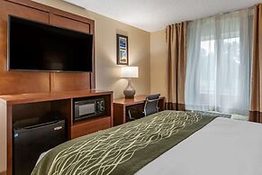 Comfort Inn & Suites Diamondale – Lansing