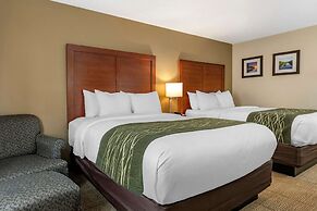 Comfort Inn & Suites Diamondale – Lansing