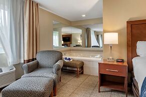 Comfort Inn & Suites Diamondale – Lansing