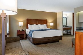 Comfort Inn & Suites Diamondale – Lansing