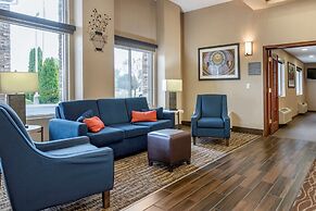 Comfort Inn & Suites Diamondale – Lansing