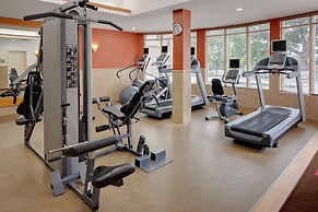 Hilton Garden Inn DFW Airport South