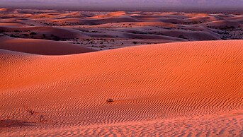 California Suites Motel