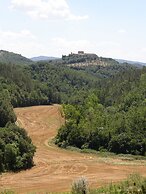 Bosco della Spina