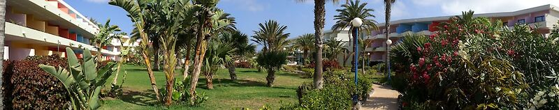 SBH Fuerteventura Playa