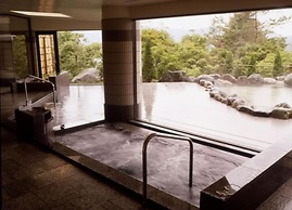 Hotel Mt. Fuji