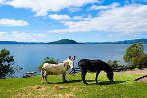 On The Point - Lake Rotorua
