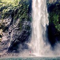 Dolphin Island - Private Island