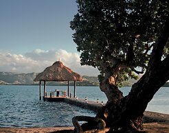 Dolphin Island - Private Island