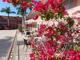 Hibiscus Suites - Gateway to Siesta Key