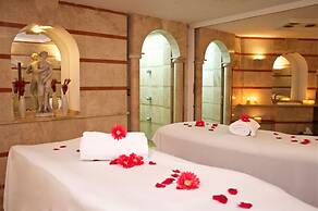 Moon Dreams Portomagno