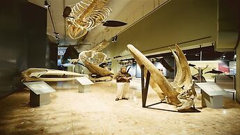 Holiday Inn Express Saint John Harbour Side by IHG