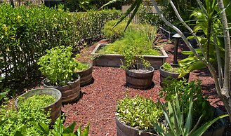 Polo Beach - CoralTree Residence Collection