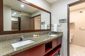 Best Western Plus Forest Park Inn