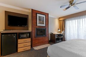 Best Western Plus Forest Park Inn
