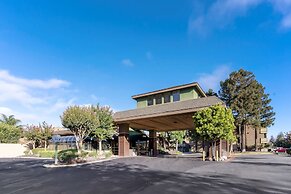 Best Western Plus Forest Park Inn