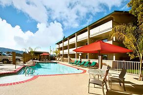 Best Western Plus Forest Park Inn