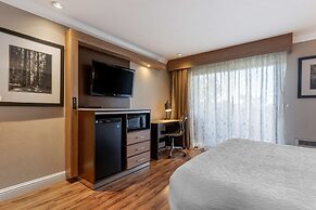 Best Western Plus Forest Park Inn