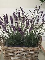 Relais Fenicottero Rosa