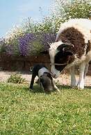 London Beach Country Hotel