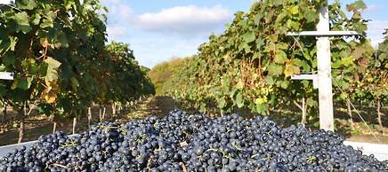 London Beach Country Hotel