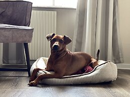 Statt Hassleholm, BW Signature Collection