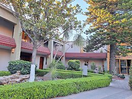 Real de Minas Tradicional