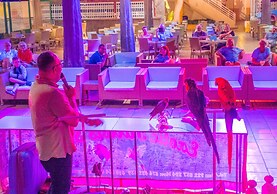 Checkin Bungalows Atlantida