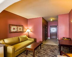 Comfort Suites McAllen
