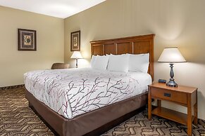 Best Western Lodge At River's Edge