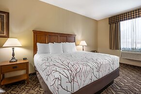 Best Western Lodge At River's Edge