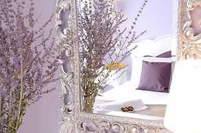 Hotel I Due Cigni