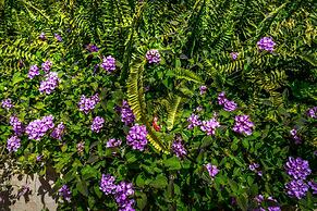 Gran Hotel Guadalpin Banus