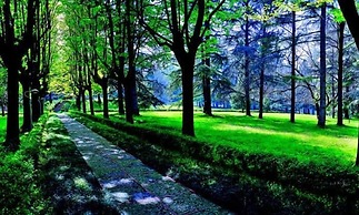 Hotel Terme