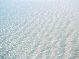 Northwest Point Resort