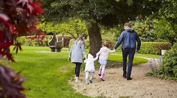 Great Southern Killarney