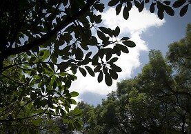 Four Points By Sheraton Arusha, The Arusha Hotel