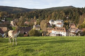 Le Grand Hotel Du Hohwald