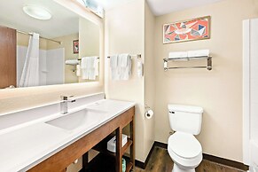 Comfort Suites Abingdon I-81