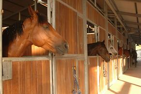 Hotel Il Parco degli Ulivi