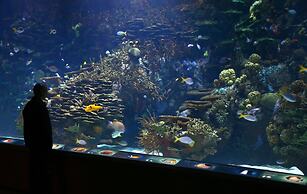 Checkin Valencia Ciscar