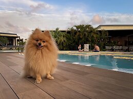 voco Surfside Aruba by IHG