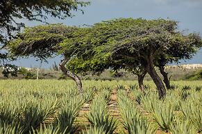 voco Surfside Aruba by IHG