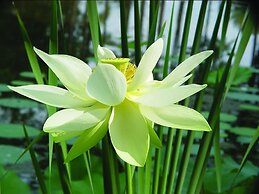 Hilton Garden Inn Fayetteville Fort Bragg