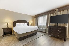 Best Western Plus Vineyard Inn & Suites