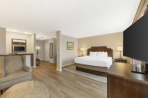 Best Western Plus Vineyard Inn & Suites